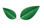 spring-leaves-1
