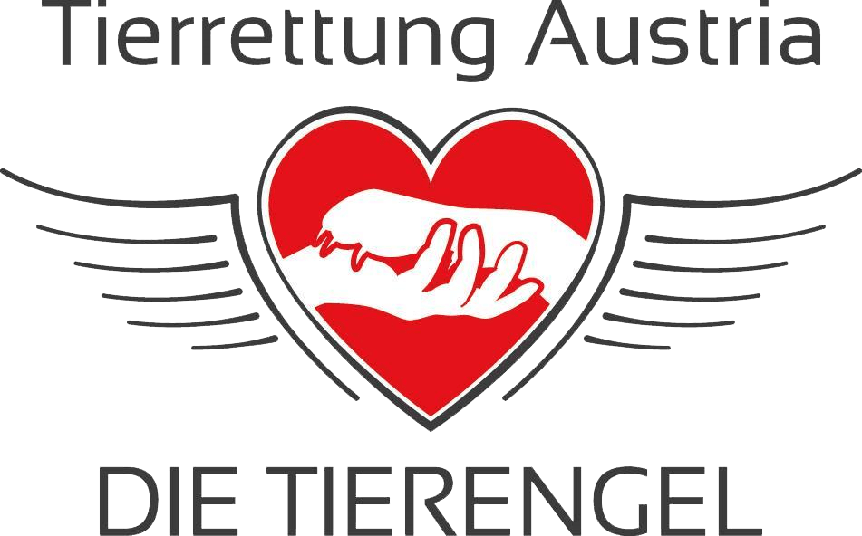 tierengel